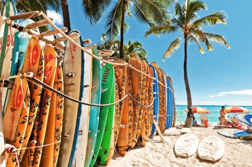 Surfboards in the rack at Waikiki Beach - Honolulu
