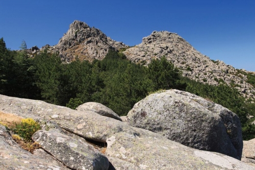 Cime del Limbara, Sardegna