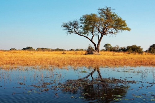 © EcoView - Fotolia Kwando River