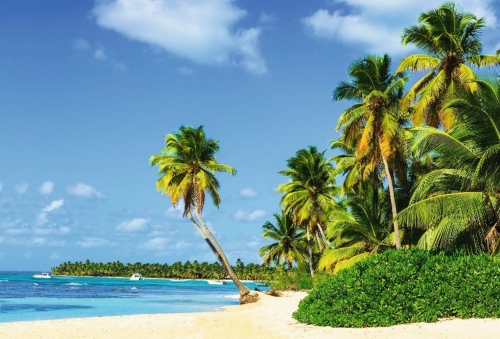 Paexotischer Sandstrand mit hohen Palmen