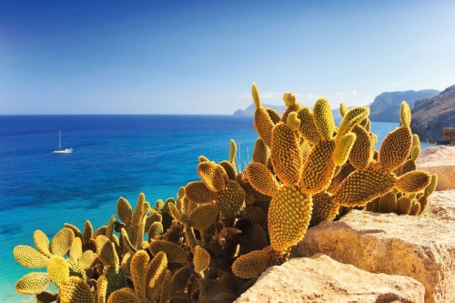 Cala de San Pedro in Andalusien