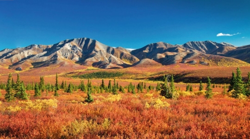 Denali-Nationalpark im Herbst