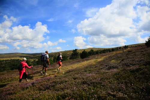 Wanderung auf den Mont Lozère