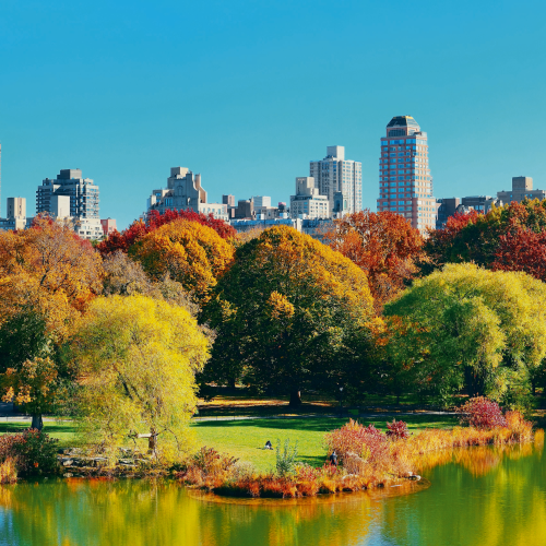 Central Park im Herbst