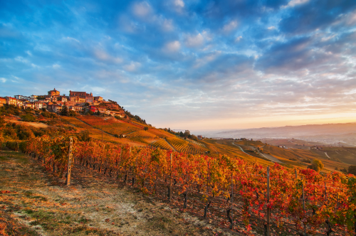 Sonnenuntergang in den Langhe
