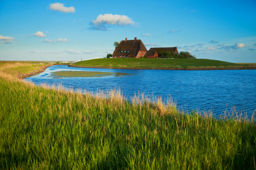 Kirchwarft, Hallig Hooge, Nordsee