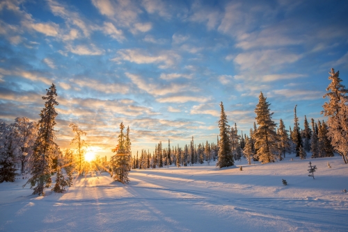 Winter in Saariselka, Lappland
