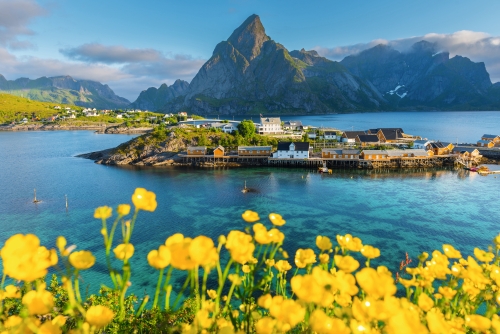 sommerliches Reine auf den Lofoten