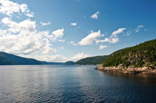 im Saguenay-Fjord treffen kaltes Salzwasser des Sankt-Lorenz-Stroms und Süßwasser aufeinander - ein Ökosystem für Wale