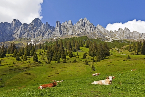 Almidylle am Hochkönig