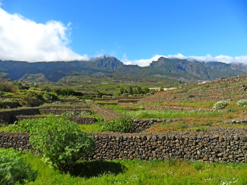 pyramiden in güimar (Parque Etnogáfico Pirámides de Güimar)