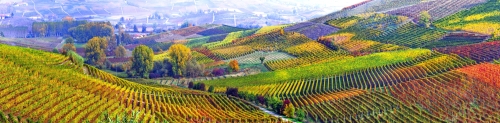 Langhe - berühmte Weinregion von Italien