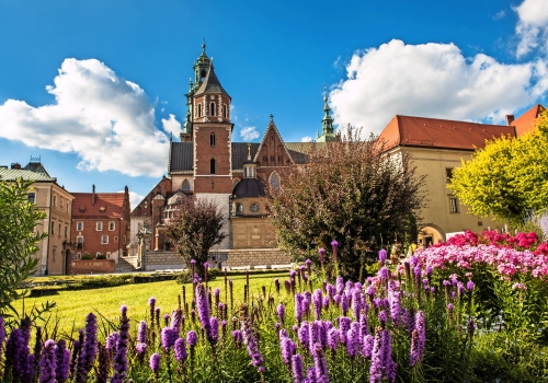 Wawel-Kathedrale in Krakau, Polen