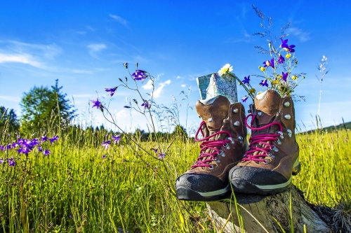 Wanderschuhe , Sommerwiese