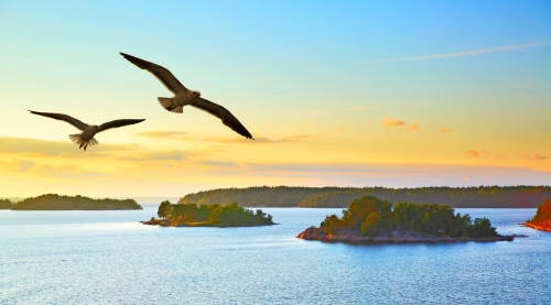 Wasserlandschaft mit fliegenden Möwen