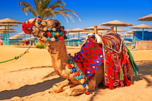 Strand von Hurghada