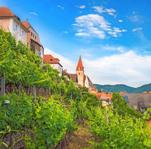 Weißenkirchen in der Wachau