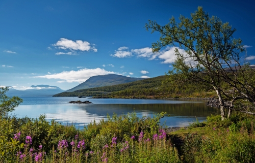 See Torneträsk im Abisko Nationalpark, Schweden