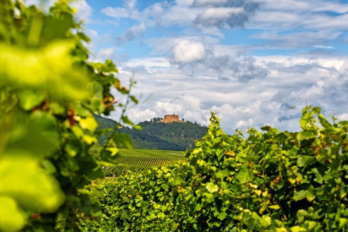 Hambacher Schloss an der Deutschen Weinstrasse